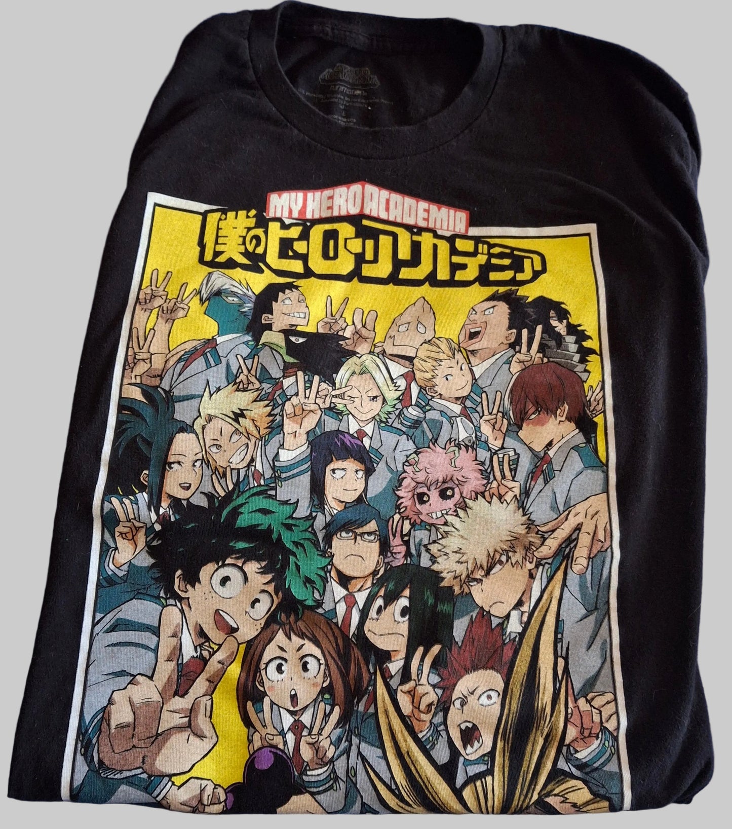 Hero Academia